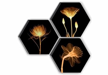 SAF Set of 3 Hexagon Preety Brown Floral UV Textured