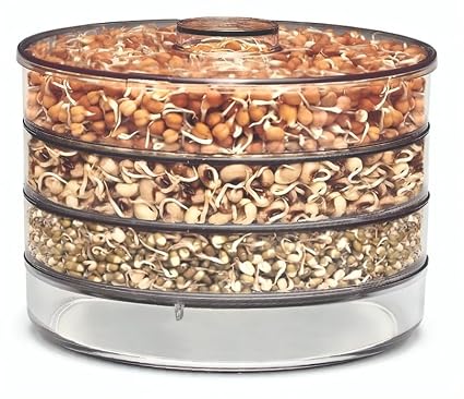 Episkey Hygienic Sprout Maker Box with 4 Container, Jar, Plastic
